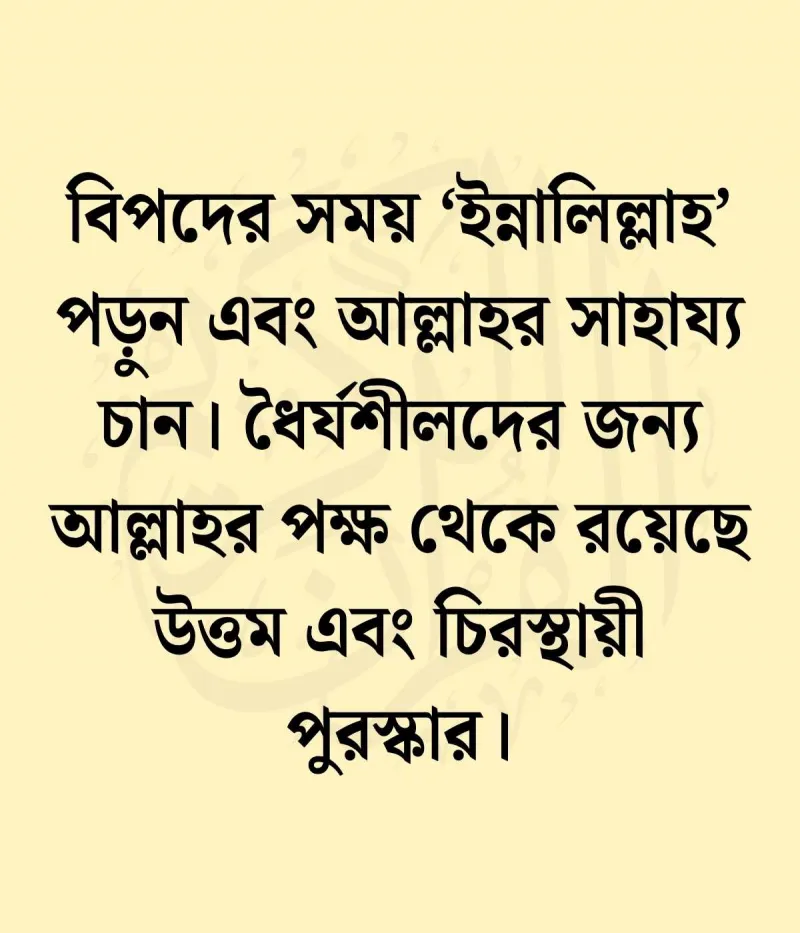 article