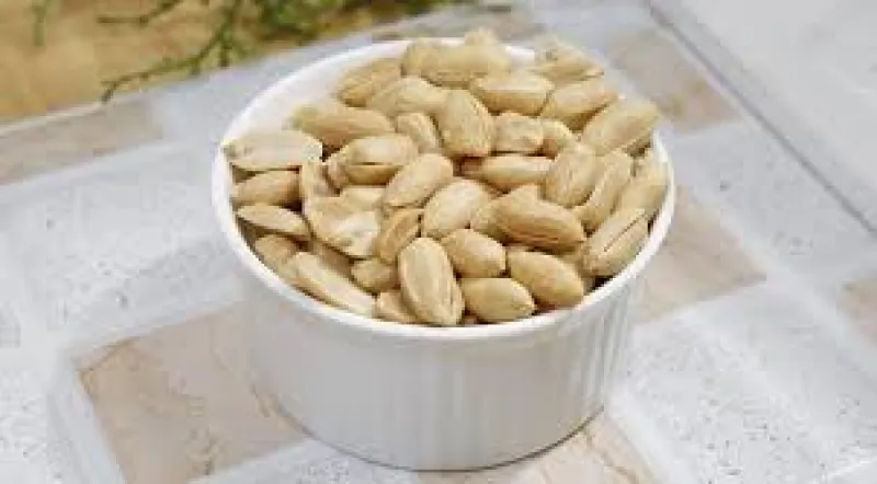 article