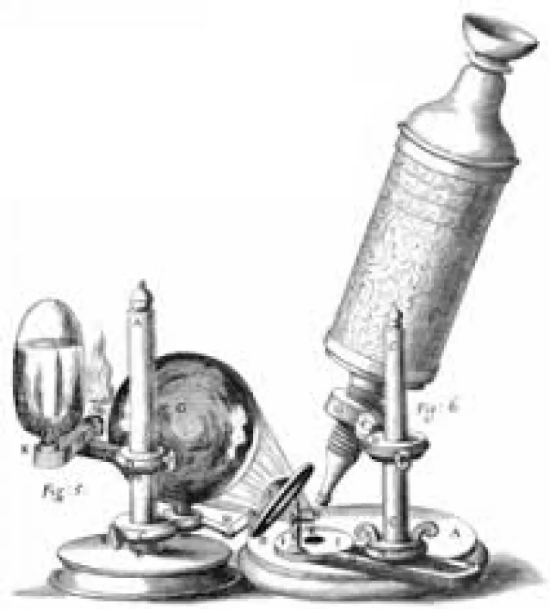 article