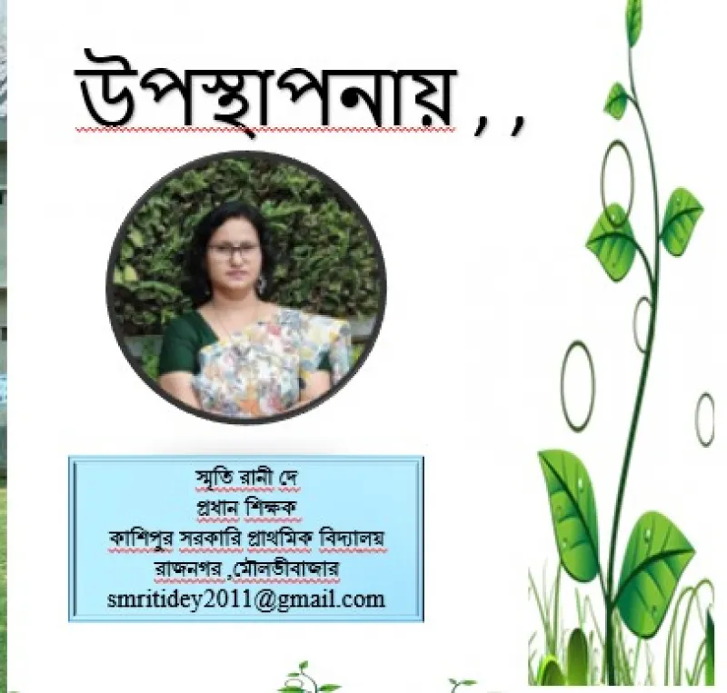 article