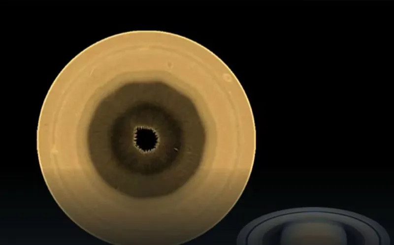 article